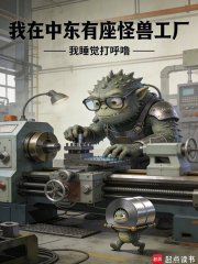 我在中东造军火,被全球通缉?